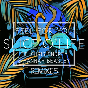 Feel for You (Watermelon Boy Remix)