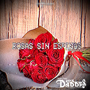 Rosas Sin Espinas