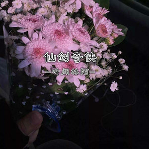 仙剑奇侠 (伴奏)