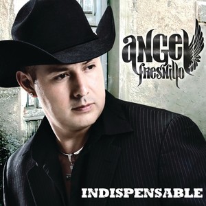 Indispensable (Album Version)