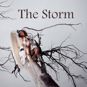 The Storm