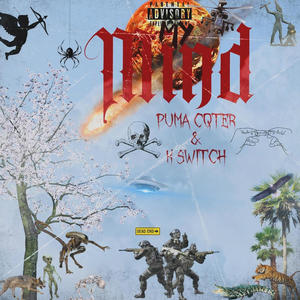 My mind (feat. K switch) (Explicit)