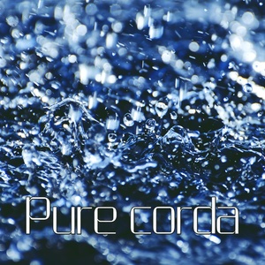 빗방울 소리 (雨声)