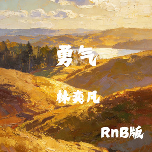 勇气 (RnB版) - 林奕凡封面