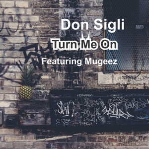 Turn Me On (Explicit)