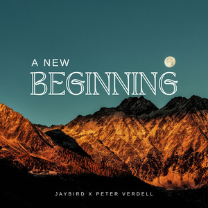 A New Beginning