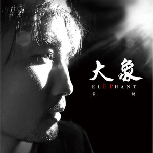 大象