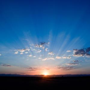 Can't Walk Away (feat. MiSeR)