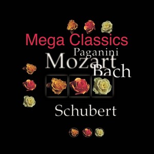 Brandenburg Concerto No. 2 in F Major, BWV 1047 - III. Allegro assai