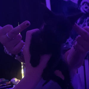 i dont wanna fight but if you want to than thats alright