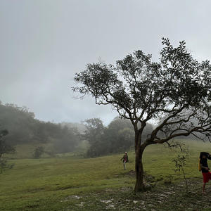 Because of your love (feat. Debary)