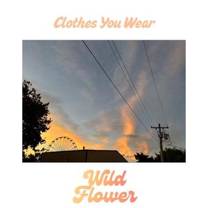 Clothes You Wear