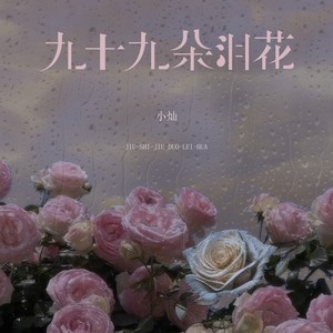 小灿 - 九十九朵泪花 (DJ Eva男版伴奏)