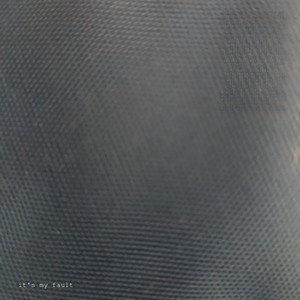 it's my fault (Explicit)