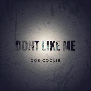 Dont like me (Explicit)