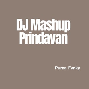DJ Mashup Prindavan