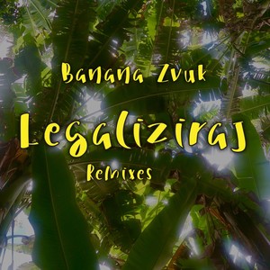 Legaliziraj (Dr.Obi RMX)