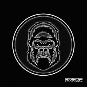 Fascination (Acid Mix)