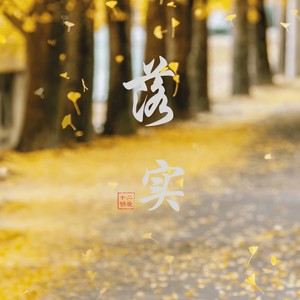 十二明夜 - 落实 (伴奏)