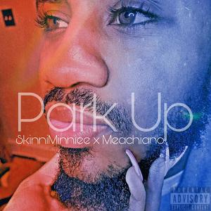 Park Up (feat. Skinnie Minnie) [Explicit]