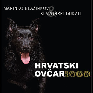 Hrvatski ovčar