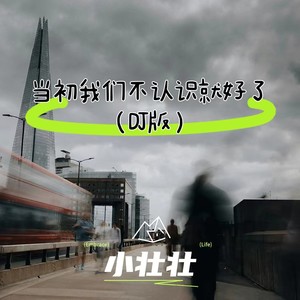 当初我们不认识就好了 (DJ版)