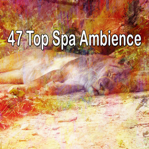 47 Top Spa Ambience