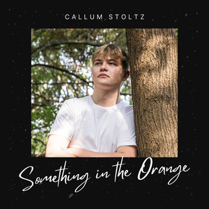 Something in the Orange