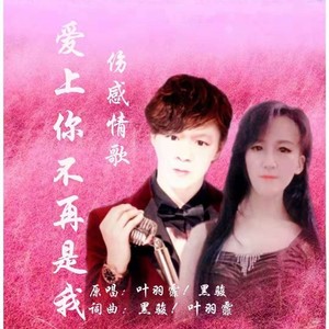 爱上你不再是我-DJ合唱