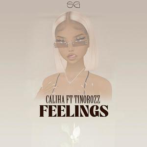 Feelings (feat. Tinorozz) (Explicit)
