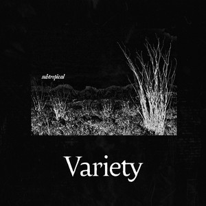 Variety - Pooling Rain
