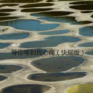 怒放的生命 (快摇版)