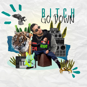 ***** Go Down (Explicit)