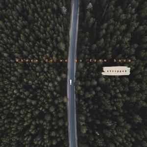 Where do we go from here(stripped)
