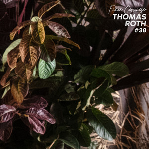 Thomas Roth - Fica Comigo