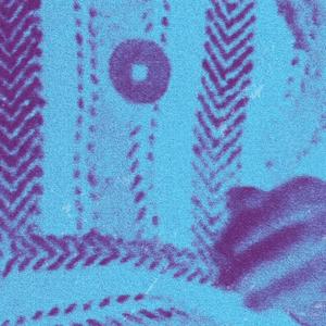 Takaramachi (feat. Seven Star, BFlecha & Mayumikiller) (Explicit)