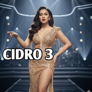 CiDRO 3