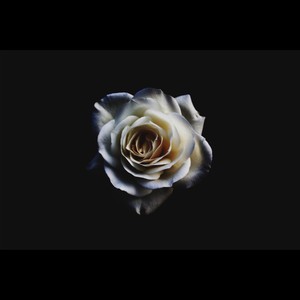 不用唱情歌（Instrumental with backup vocal）