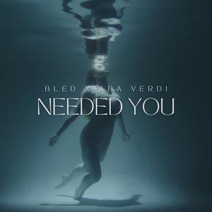 Needed You (feat. BLED)