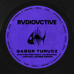 Protected (Extended Mix)