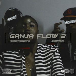 Ganja flow 2 (feat. 3star)