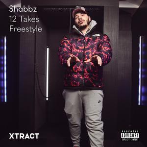 12 Takes Freestyle (feat. Leon Shabba Madigan)