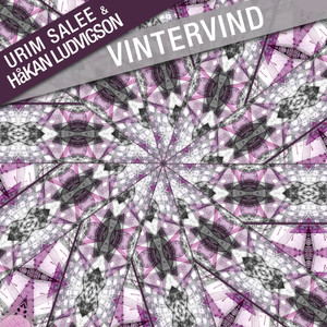 Vintervind (Original Mix)