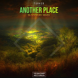 Another Place (Bloodfury Remix)