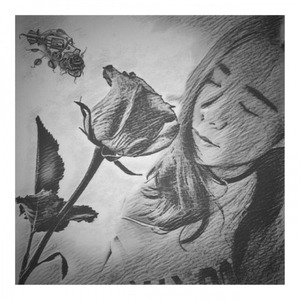 你就不要想起我