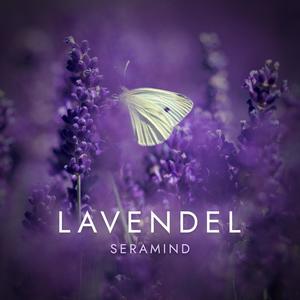 Lavendel