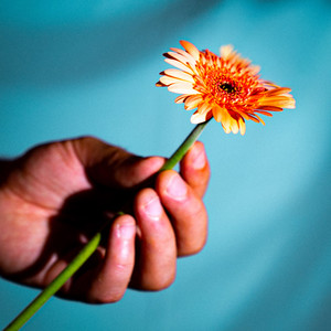 On s'entendra jamais