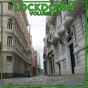 Lock Down Vol. 20