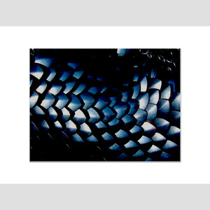 王妃 (复古摇滚版)