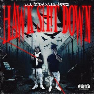 Hawk **** Down (Explicit)